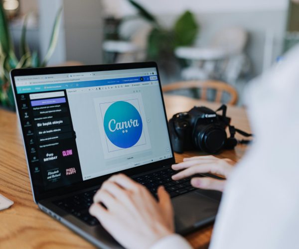 pexels-mutecevvil-17681366